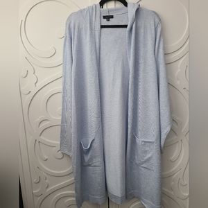 Verve Ami Light Blue Hooded Sweater